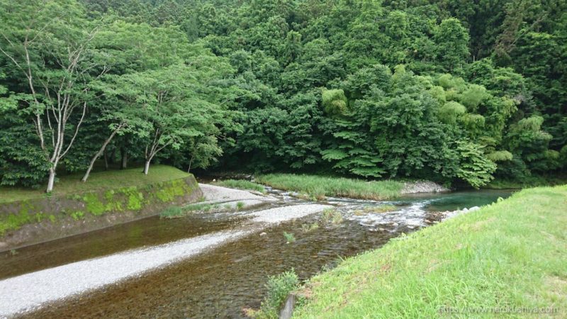 山帰来　駐車場から黒川を眺める