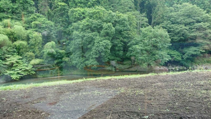 山帰来　テーブル席から眺める黒川の景観